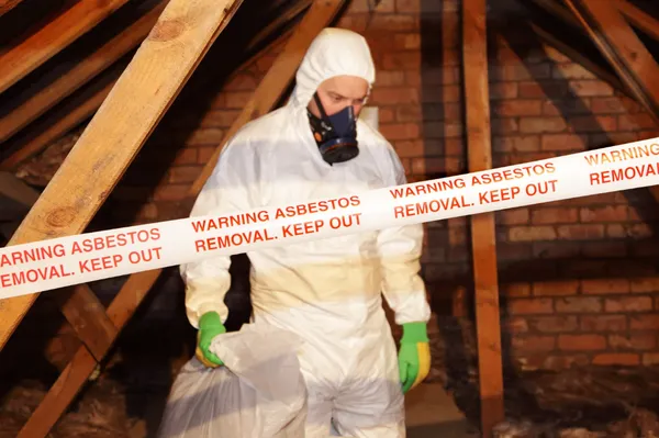 Asbestos & Lead Abatement