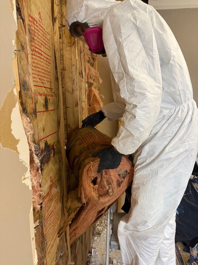 Commercial Mold Remediation for Offices, Warehouses, and Large Businesses - article cover image
