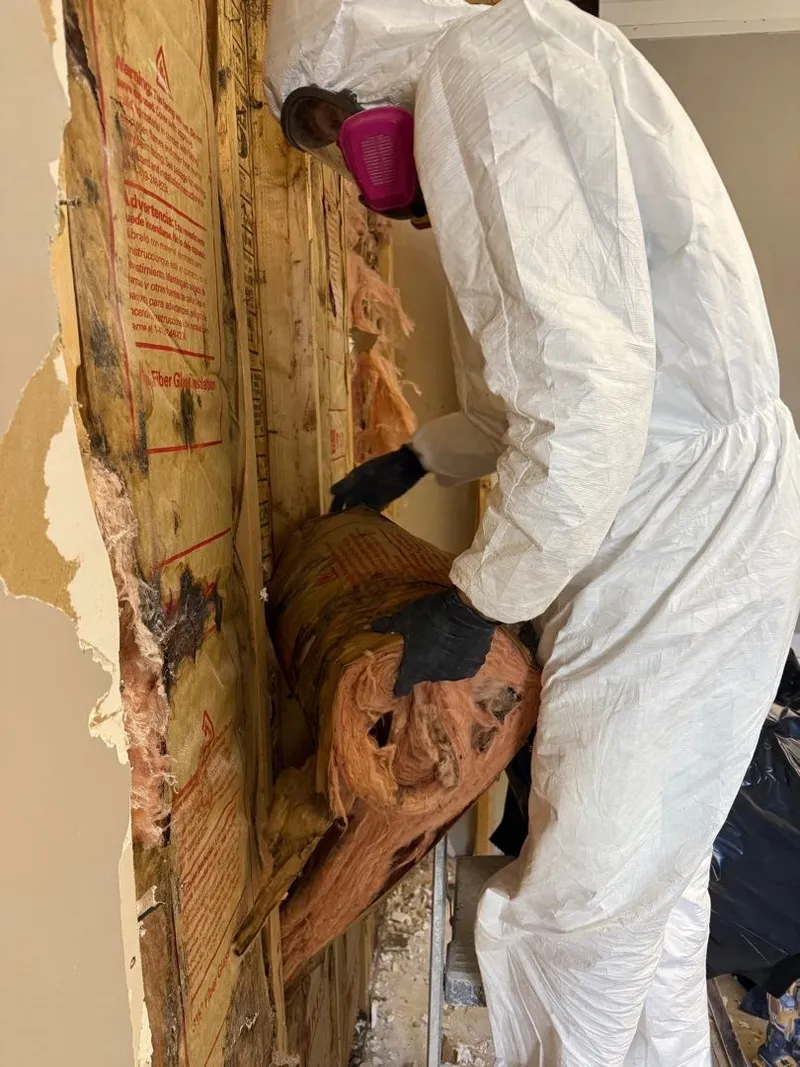 Mold growth on a commercial building material before professional remediation
