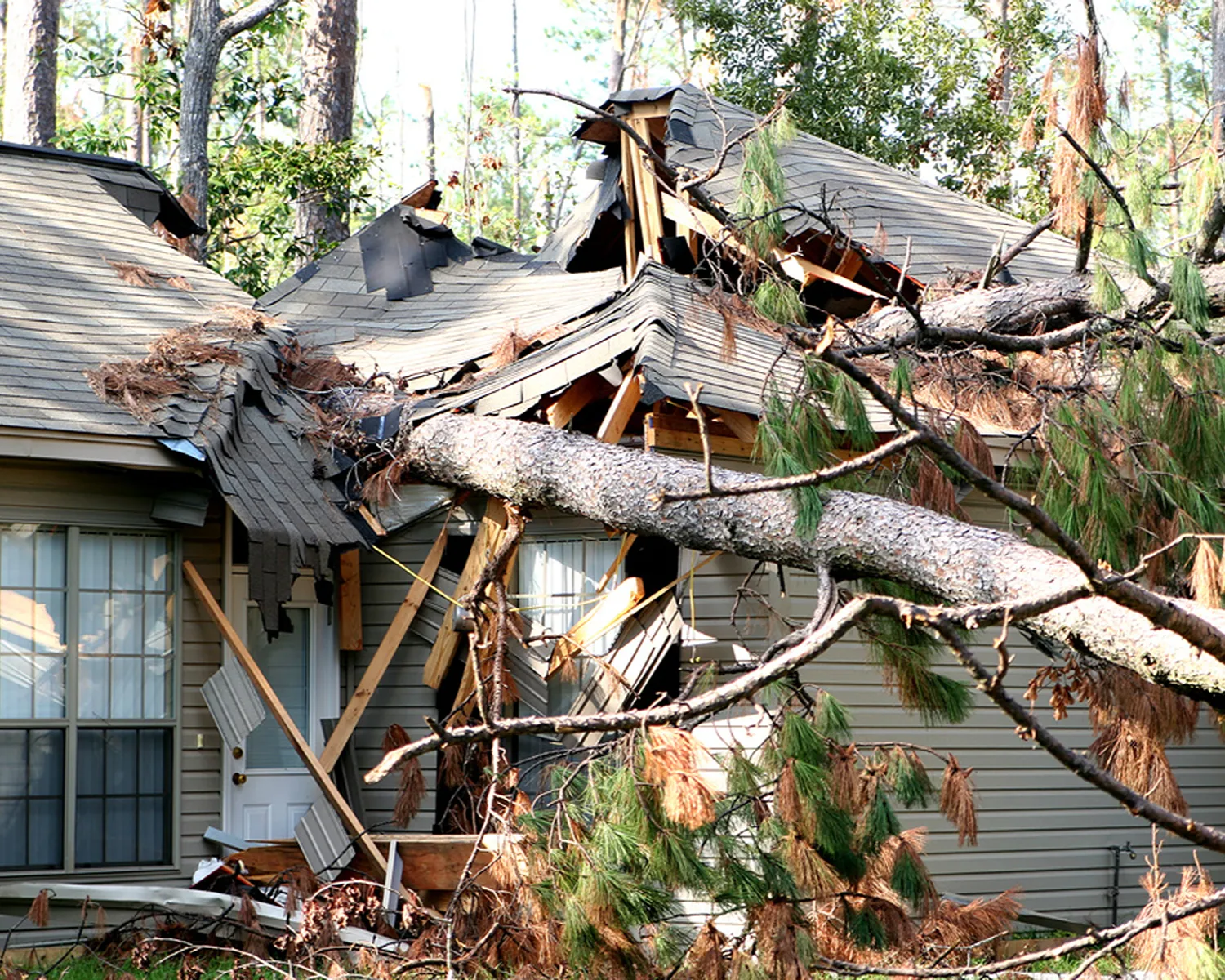 Storm Damage Response & Recovery